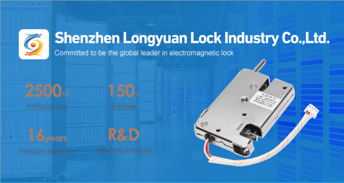 Customized 12v Electronic Lock Keyless Solenoid Lock Manufacturer 0