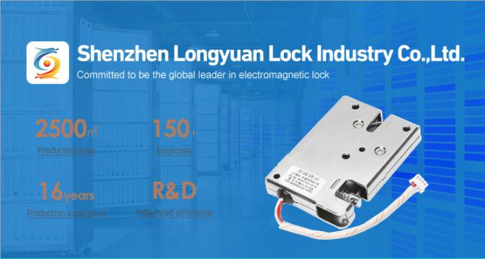 Solenoid Electric Magnet Lock For Cabinet Customized 30W DC12V 0