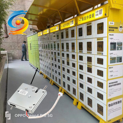 Parcel Locker Electric Solenoid Lock 12V DC Smart High Security