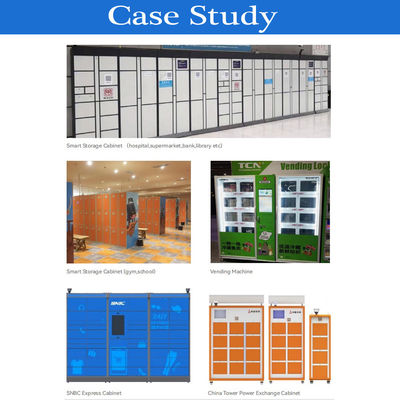 DC 12V Hidden Magnetic Electronic Lock OEM ODM For Vending Machine Locker